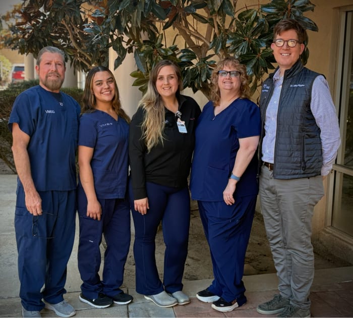 Neurology Service | Veterinary Medical and Surgical Group (VMSG) | Vet in Ventura | Serving the Ventura